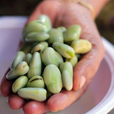 باقالی سبز پاک شده