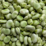 باقالی سبز پاک شده