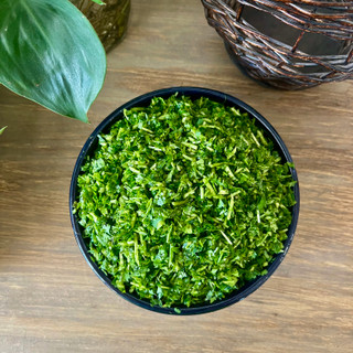 گشنیز خرد شده