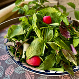سبزی خوردن نعنا آبی ۲۵۰ گرمی