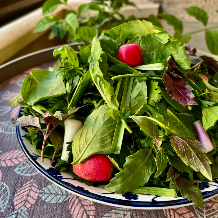 سبزی خوردن نعنا آبی ۲۵۰ گرمی