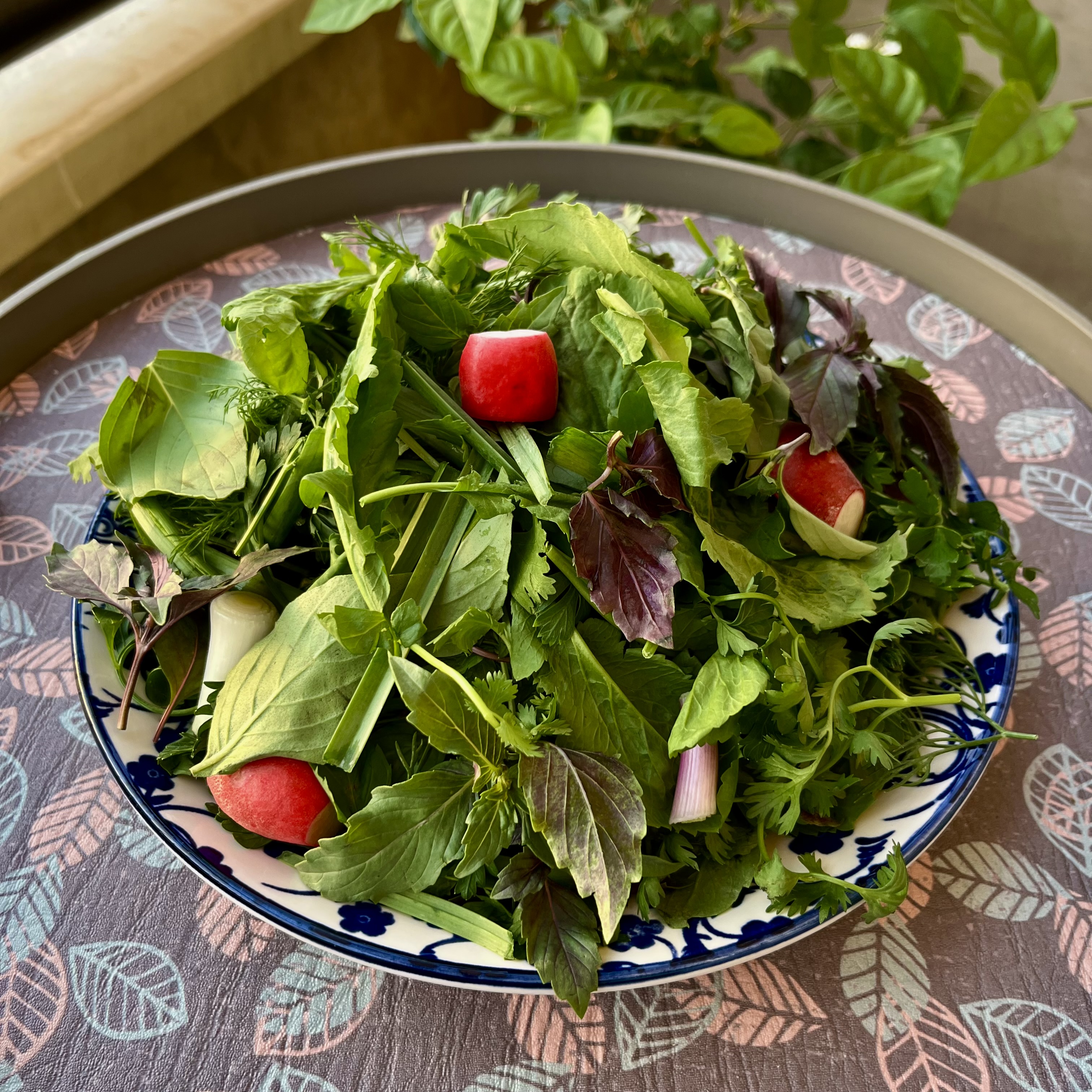 سبزی خوردن