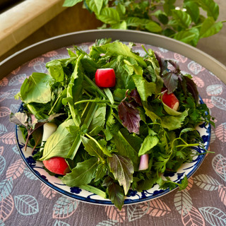 سبزی خوردن