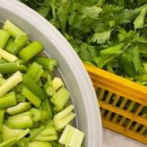 کرفس بخارپز نعنا آبی ۵۰۰ گرمی