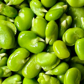 باقالی سبز