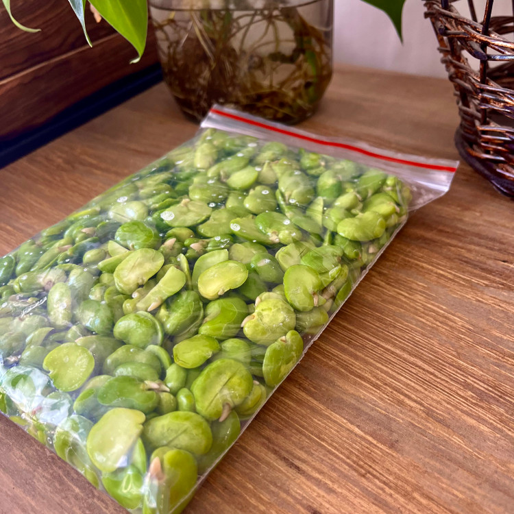 باقالی سبز نعنا آبی ۴۰۰ گرمی
