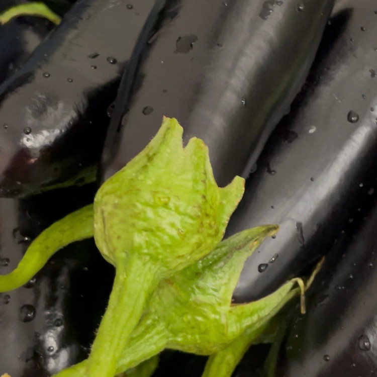 بادمجان سرخ شده نعنا آبی ۵۰۰ گرمی