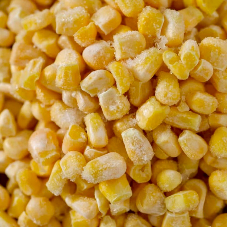 ذرت مکزیکی نعنا آبی ۴۰۰ گرمی