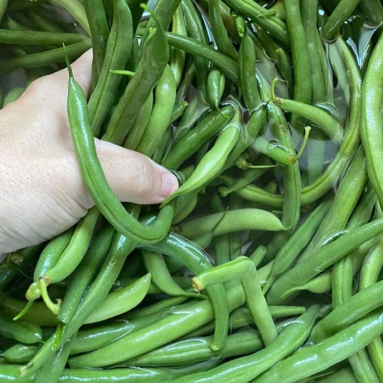 لوبیا سبز سرخ شده ربی پوره گوجه فرنگی نعنا آبی ۵۰۰ گرمی